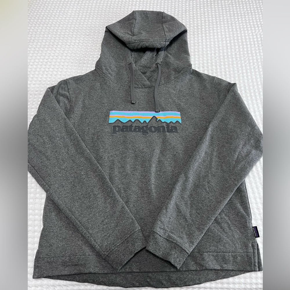 Patagonia hoodie